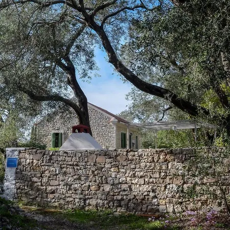 Country House Dom wakacyjny *