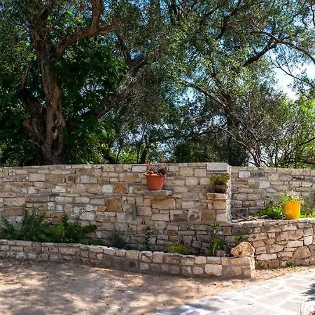 Dom wakacyjny Country House